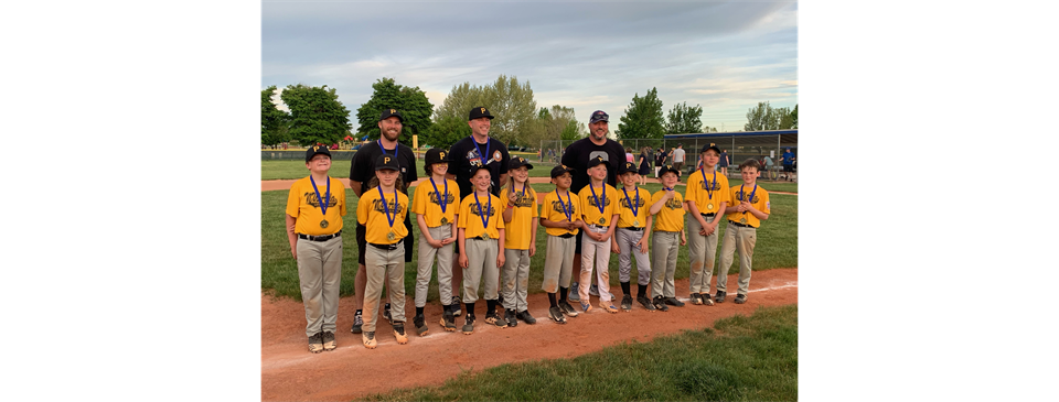 NWALL Baseball
